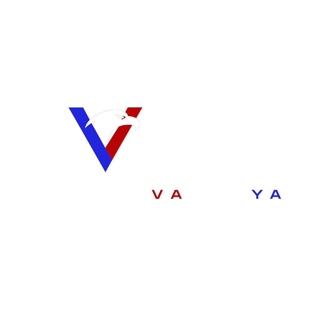 Logo Team VLR