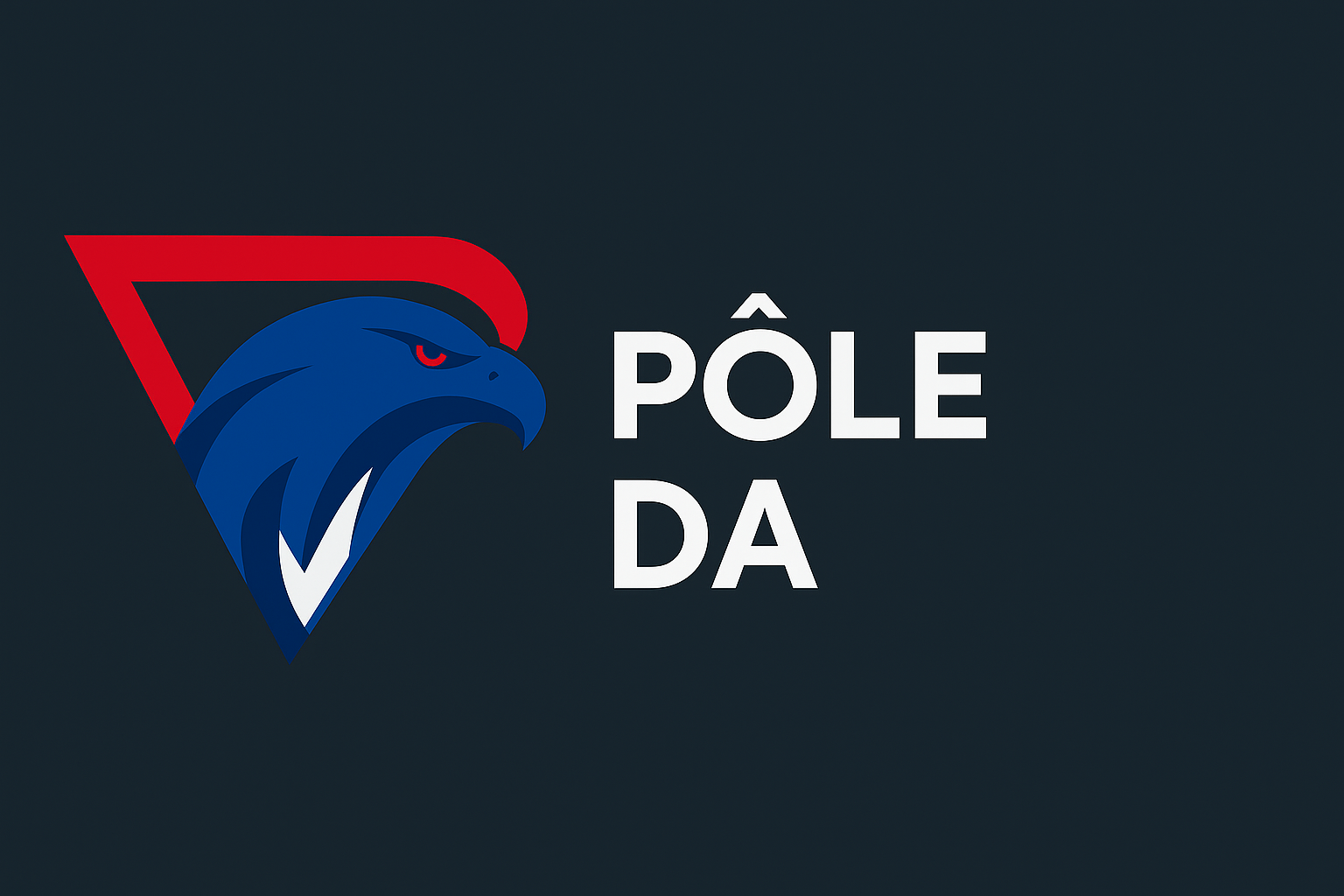 Pôle DA