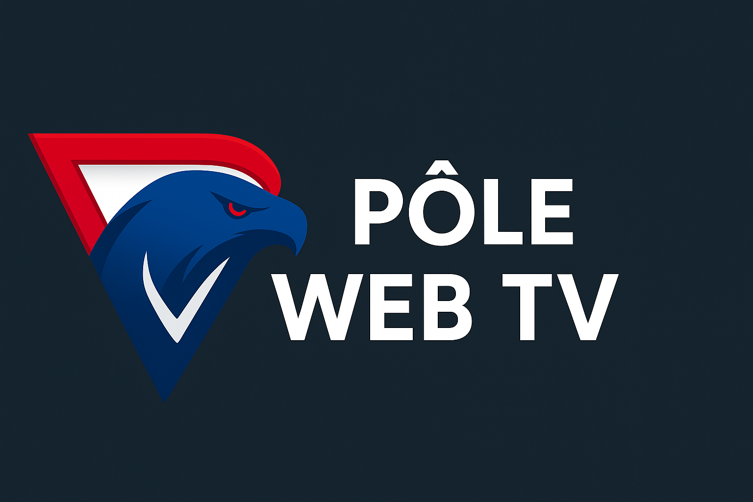 Pôle Web TV
